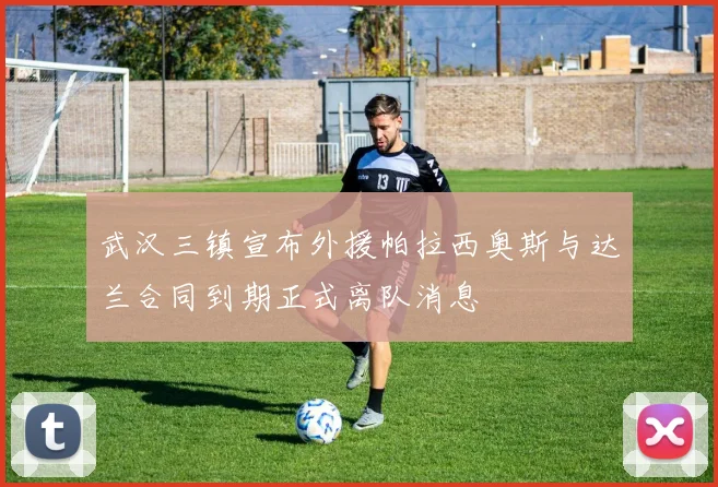武汉三镇宣布外援帕拉西奥斯与达兰合同到期正式离队消息